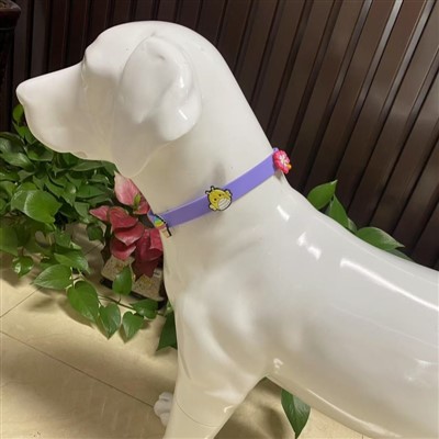 Vedenpitävä koiran kaulus hurmaa