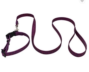 Leopard No Smell Waterproof Durable Soft Grip Training Dog Collar And Leash Set