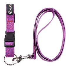 Helppo vapauttaa ympäristöystävälliset koiran kaulukset solki ja talutushihna setti