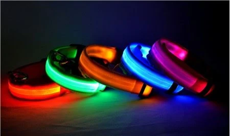 Light Up LED koiranpanta USB-ladattavalla